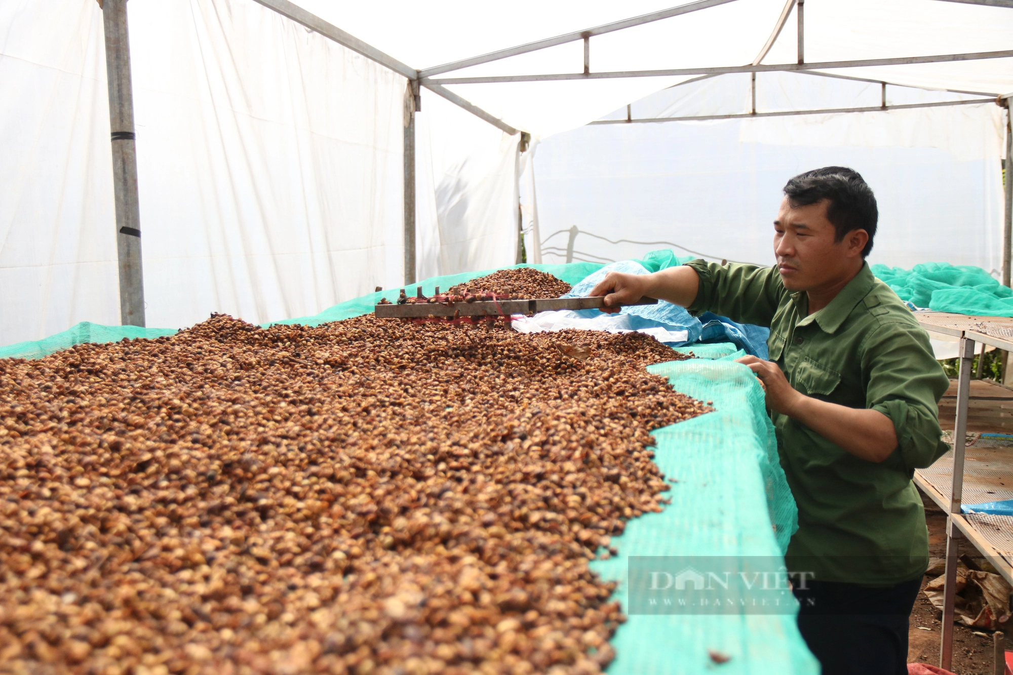 Cũng là cà phê, nhưng cà phê của những nông dân này ở Gia Lai chế biến lạ lắm, giá bán cao vẫn hút hàng- Ảnh 3.