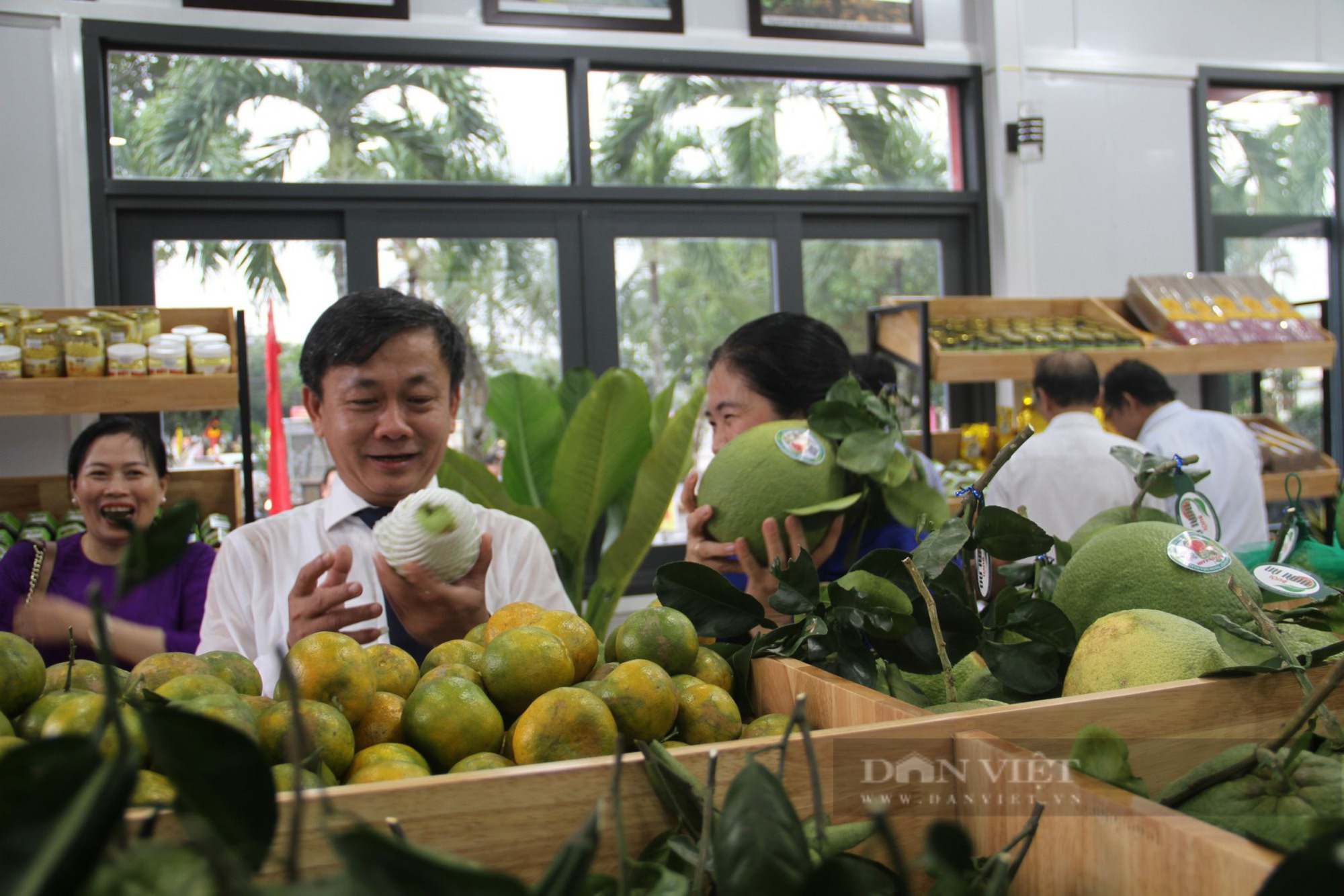Chủ tịch Bình Định muốn huyện trung du thành vùng "nông nghiệp công nghệ cao, gắn với chế biến sâu"- Ảnh 3.