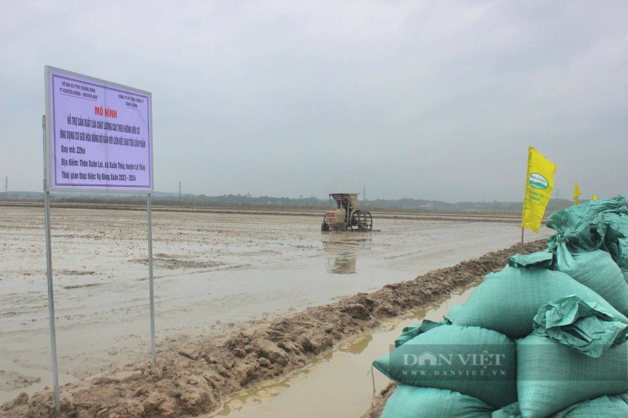 "3 nhà" ở Quảng Bình liên kết trồng lúa hữu cơ trên một cánh đồng "không dấu chân"- Ảnh 6.