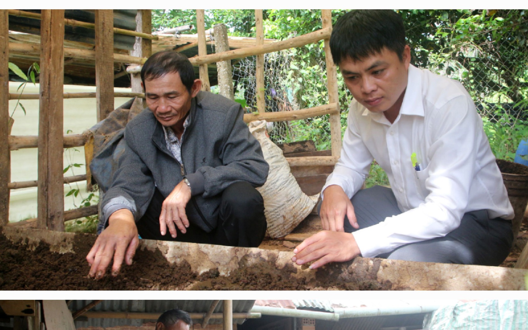Vì sao nông dân nơi này ở Lâm Đồng nuôi trùn quế mà khiến đàn gà lại khỏe, vườn sầu riêng lại tốt lên?