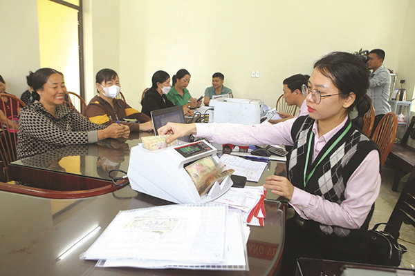Vốn chính sách, động lực để nông dân Nam Định tự tin thoát nghèo- Ảnh 1.