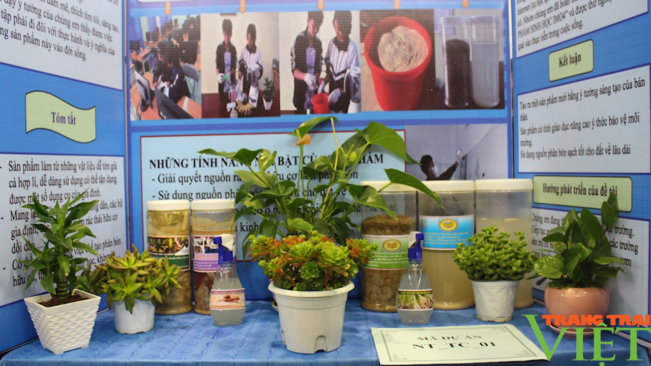 Sơn La: Khai mạc cuộc thi khoa học kỹ thuật dành cho học sinh trung học- Ảnh 3.
