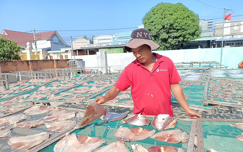 Yên ắng lạ thường thị trường một loại đặc sản Tết ở Bà Rịa-Vũng Tàu, dân vừa phơi vừa tính