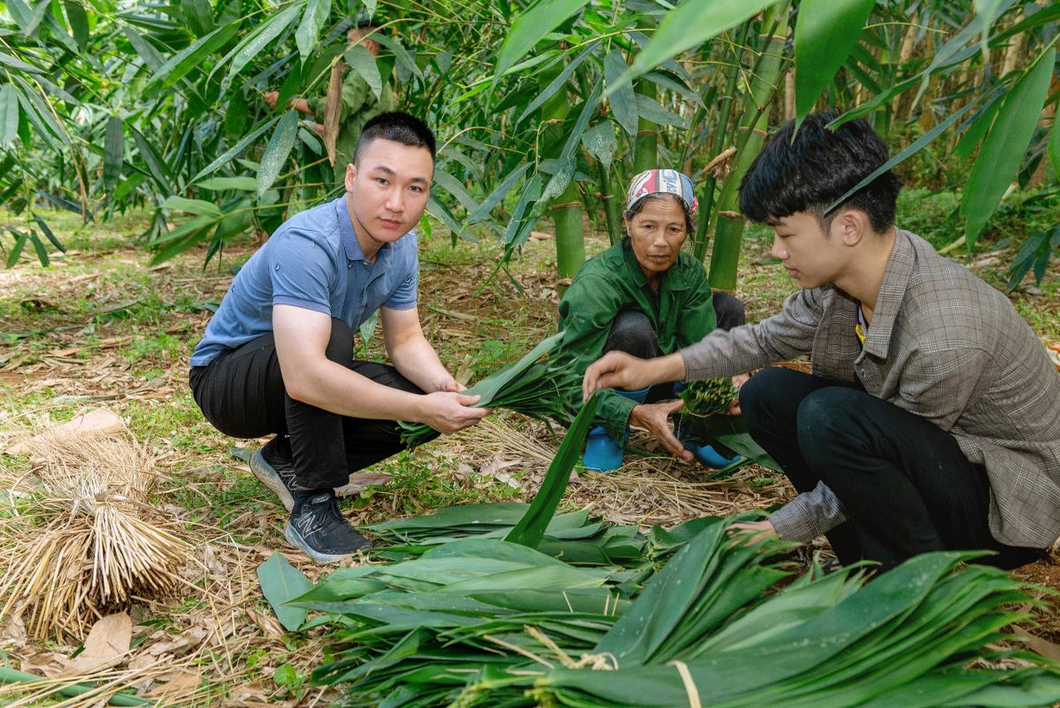 Một loại lá rụng đầy ở Việt Nam bất ngờ trở thành mặt hàng xuất khẩu có giá trị cao- Ảnh 7.