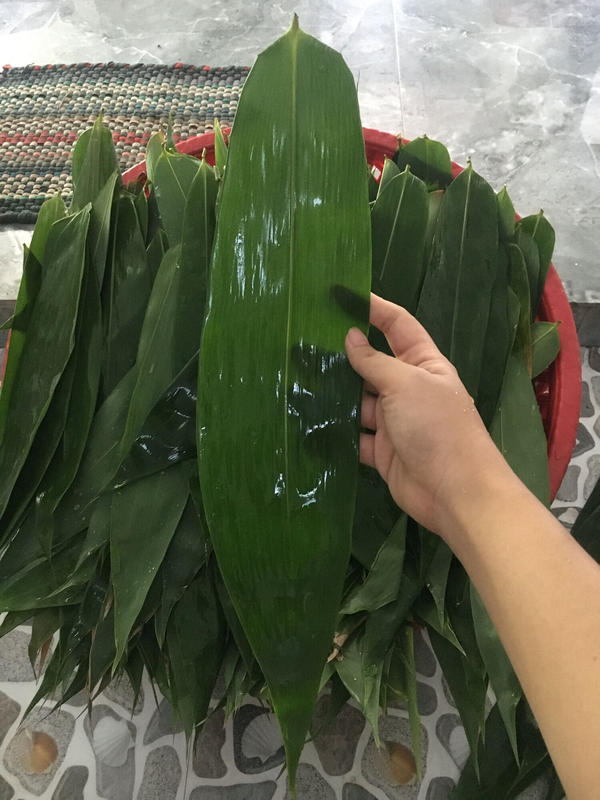 Một loại lá rụng đầy ở Việt Nam bất ngờ trở thành mặt hàng xuất khẩu có giá trị cao- Ảnh 8.