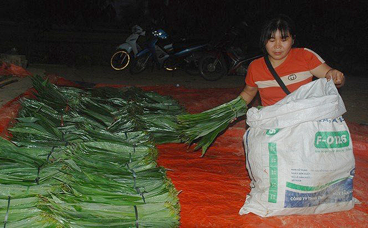Một loại lá rụng đầy ở Việt Nam bất ngờ trở thành mặt hàng xuất khẩu có giá trị cao- Ảnh 9.