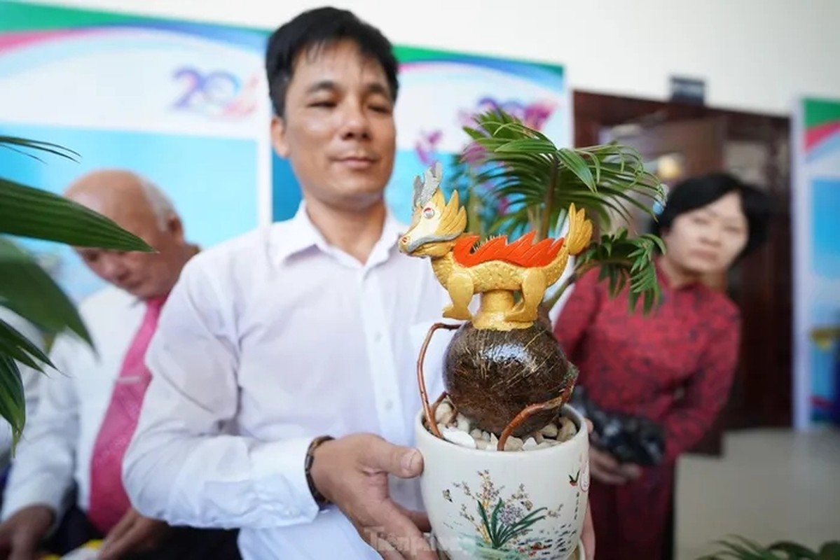Độc, lạ loạt rồng vàng ôm dừa bonsai “ngóng” khách rước về chơi Tết Giáp Thìn 2024- Ảnh 1.