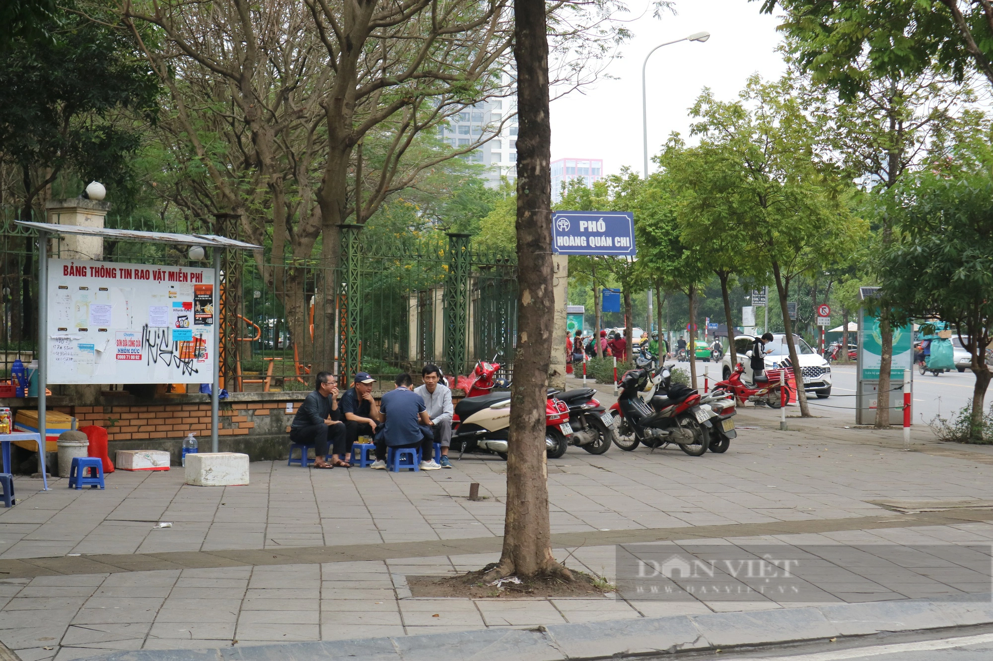 Chuyện lạ "có một không hai" ở Hà Nội: Biển báo tên đường được treo trên cây- Ảnh 1.