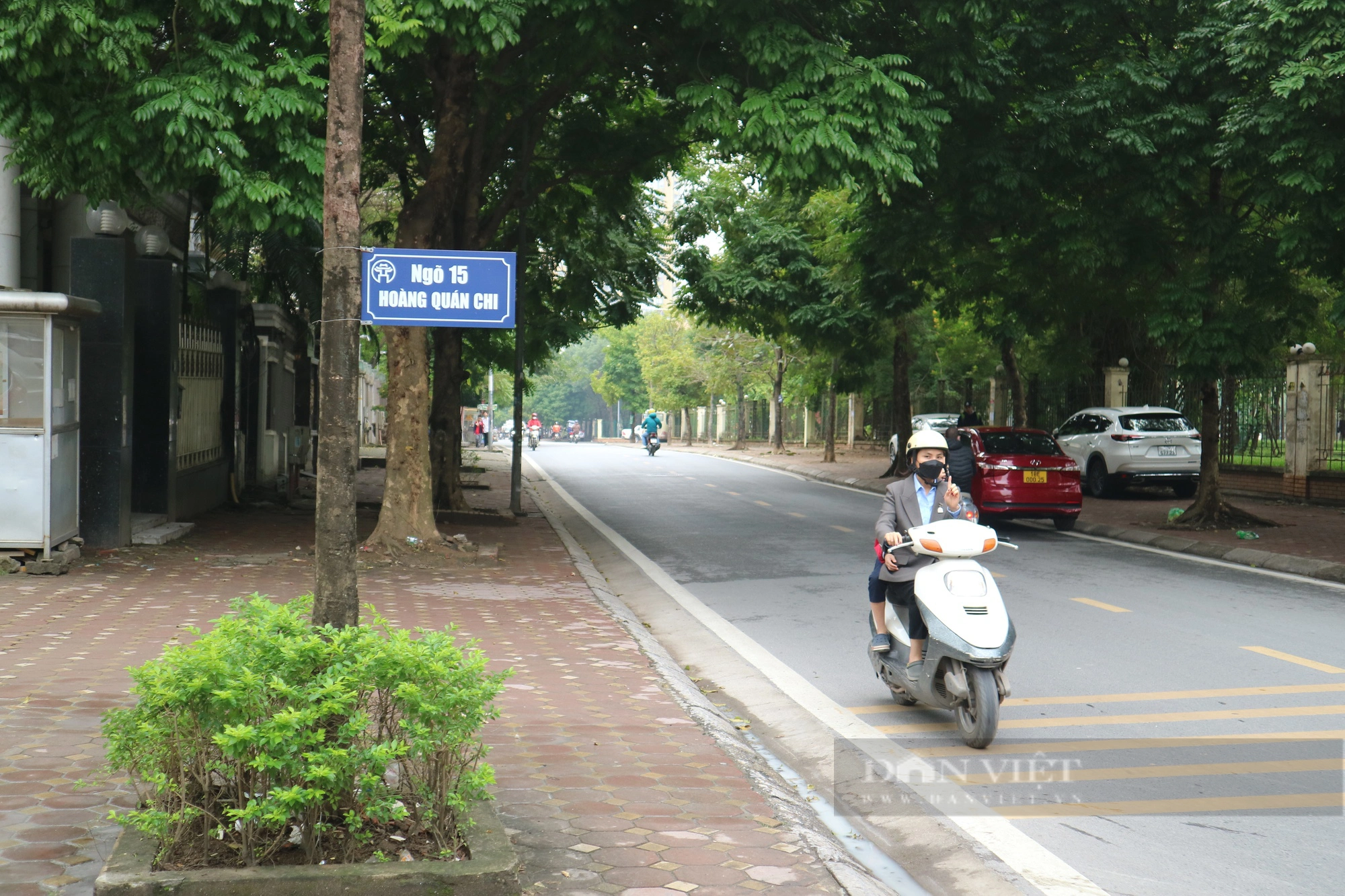 Chuyện lạ "có một không hai" ở Hà Nội: Biển báo tên đường được treo trên cây- Ảnh 2.