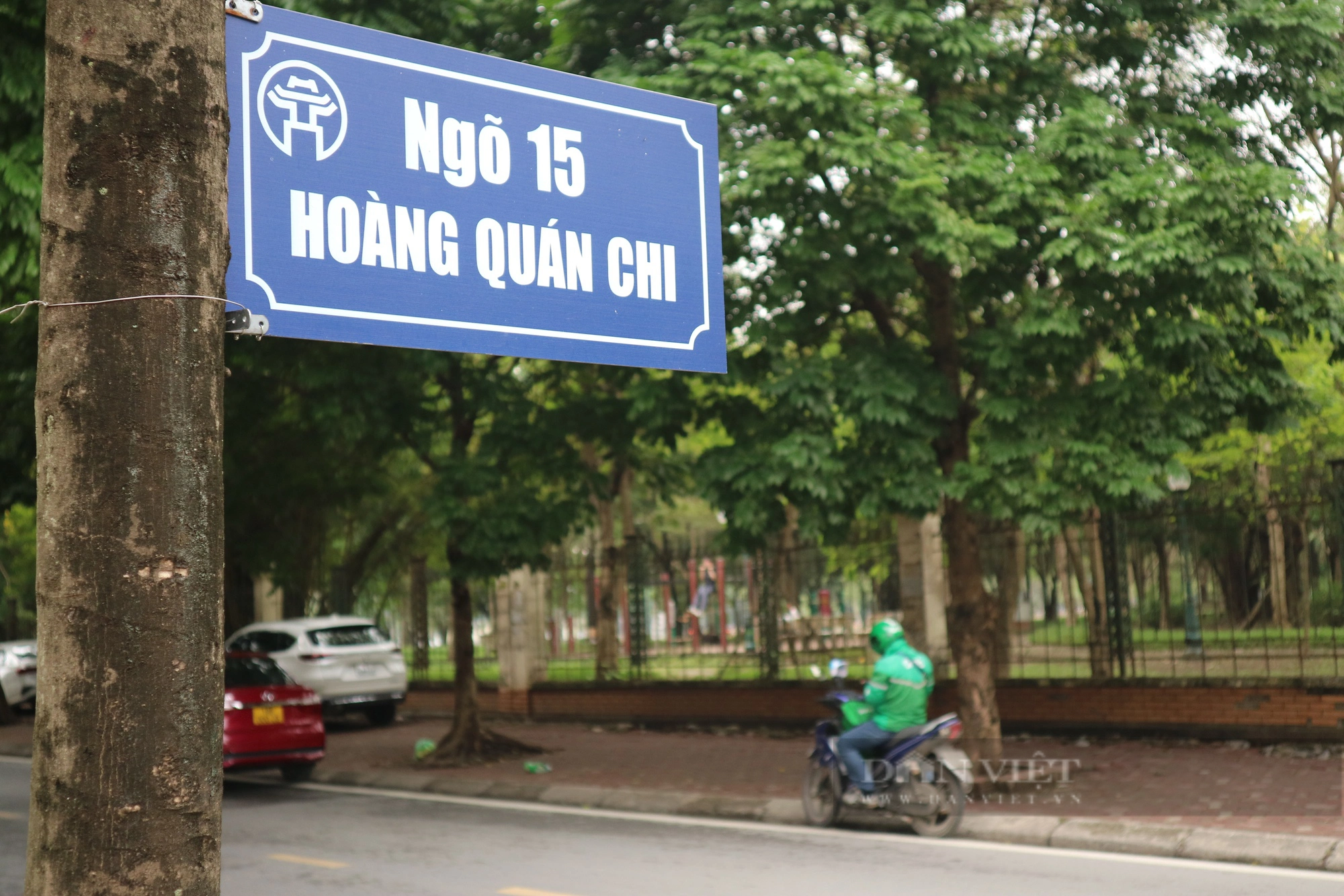 Chuyện lạ "có một không hai" ở Hà Nội: Biển báo tên đường được treo trên cây- Ảnh 4.