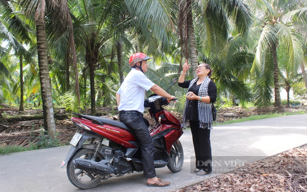 Nhiều doanh nghiệp trong ngành cũng đã liên kết hộ dân, HTX để đầu tư vùng nguyên liệu hữu cơ với chi phí đầu tư rất lớn. Ảnh: Nguyên Vỹ