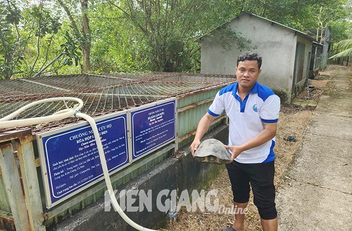 Một khu rừng nổi tiếng ở Kiên Giang thấy vô số động vật hoang dã, có con cua đinh to bự- Ảnh 1.