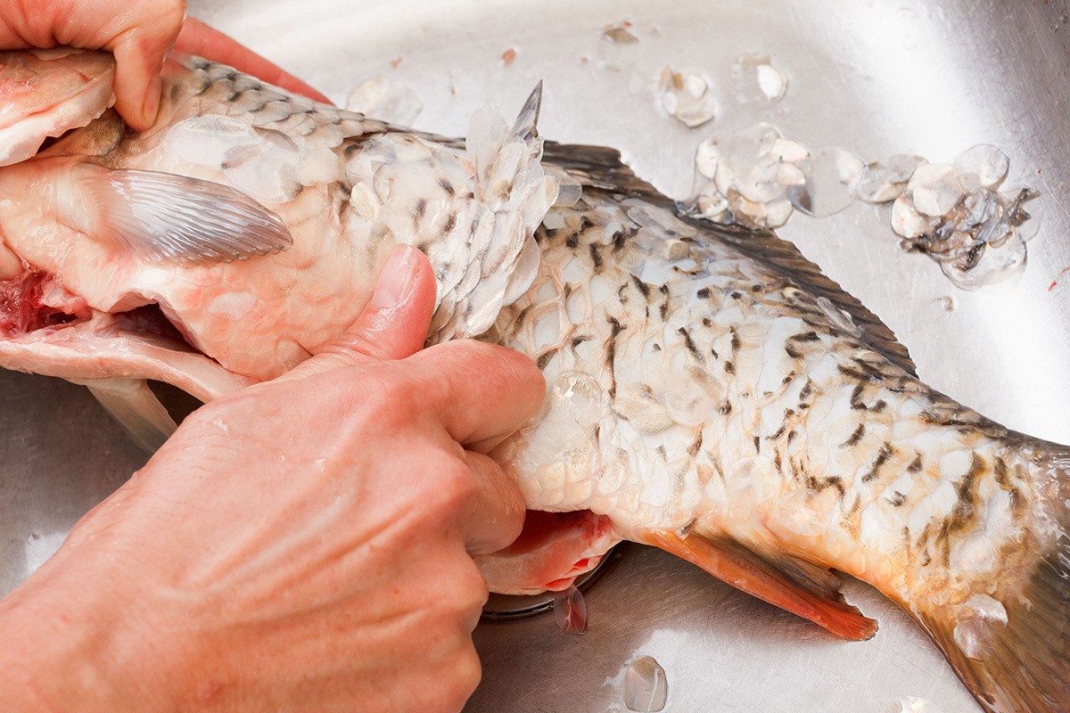 Ăn cá chỉ ăn thịt thôi là dại: 5 bộ phận đại bổ quý như nhân sâm mà người không biết thường vứt đi- Ảnh 8.