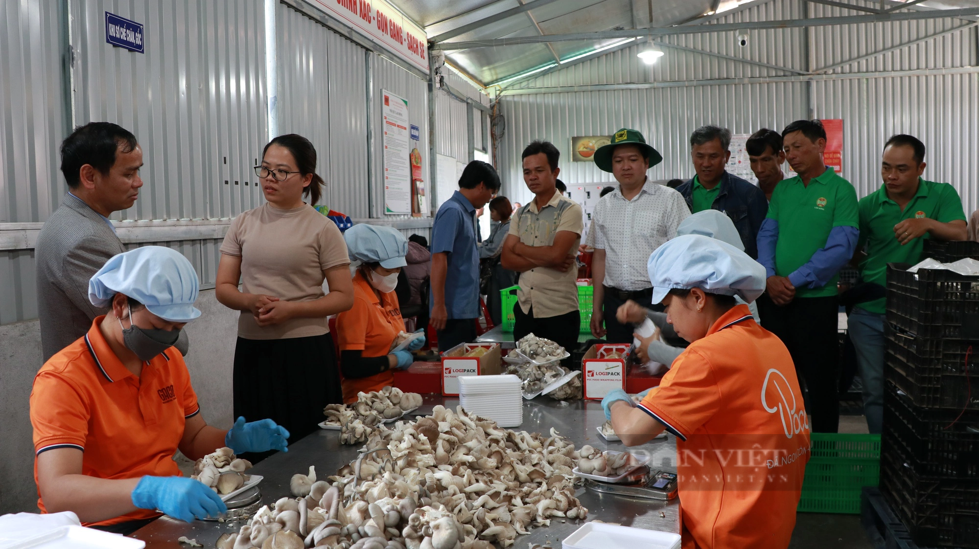 Hội ND Lâm Đồng đưa cán bộ, hội viên, nông dân đi thăm mô hình nuôi trùn quế, thu hơn 30 triệu/tháng- Ảnh 3.