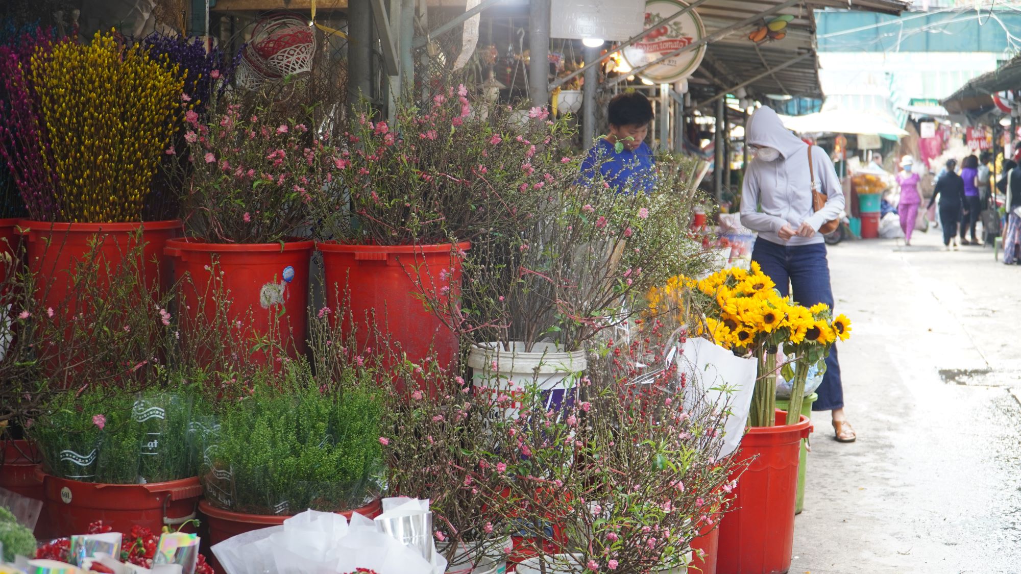 Nhiều dòng hoa “hot” như tuyết mai, đào đông, Nhật Tân mini... hút khách ở chợ hoa Tết- Ảnh 3.
