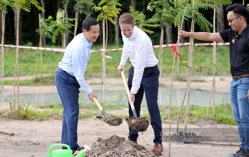 Tại hội nghị COP26 Việt Nam đặt ra mục tiêu đạt Net zero vào năm 2050. Trong ảnh: Phó Thủ tướng Chính phủ Lê Minh Khái dự lễ trồng cây xanh tại dự án nhà máy trung hòa carbon của Tập đoàn Lego ở KCN VSIP III (Bình Dương). Ảnh: Nguyên Vỹ
