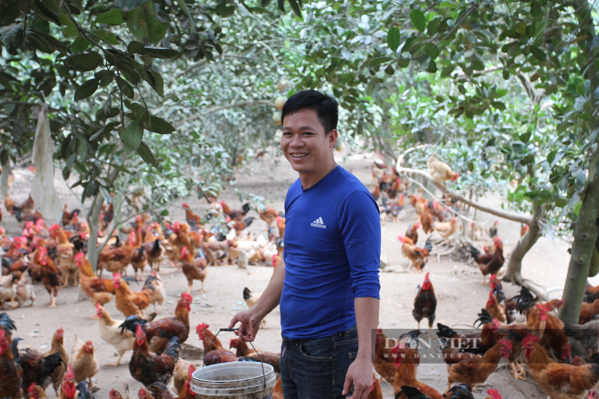 Đang làm cơ khí chuyển sang nuôi gà Ta Lò, một nông dân Thái Nguyên thu nhập tốt hẳn lên- Ảnh 1.