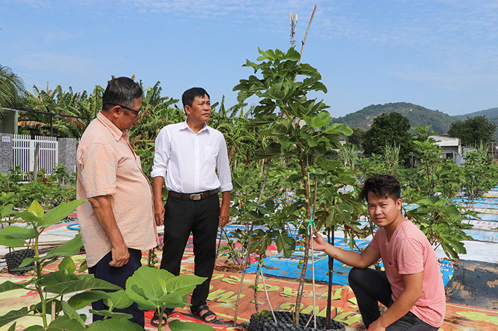 Đây là cây trồng mới, con nuôi mới đang mang lại nhiều tiền hơn cho nông dân Bà Rịa-Vũng Tàu- Ảnh 1.