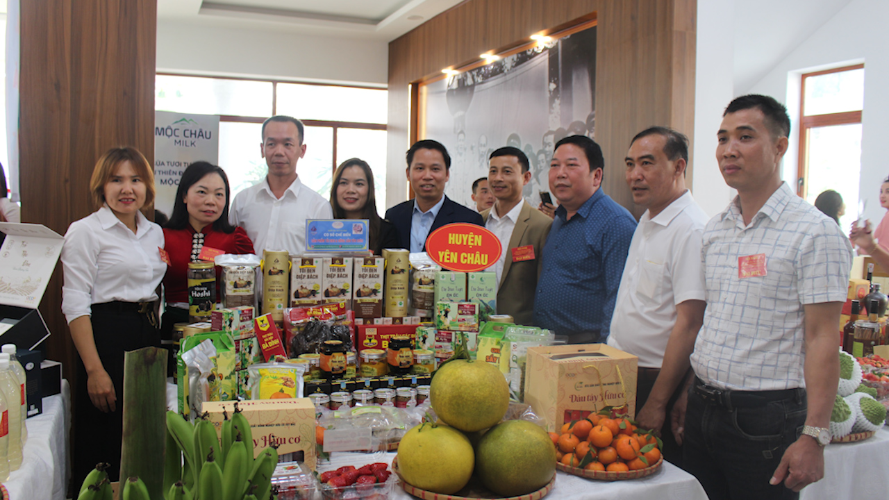 Yên Châu: Đẩy mạnh tiêu thụ, xuất khẩu nông sản- Ảnh 3.