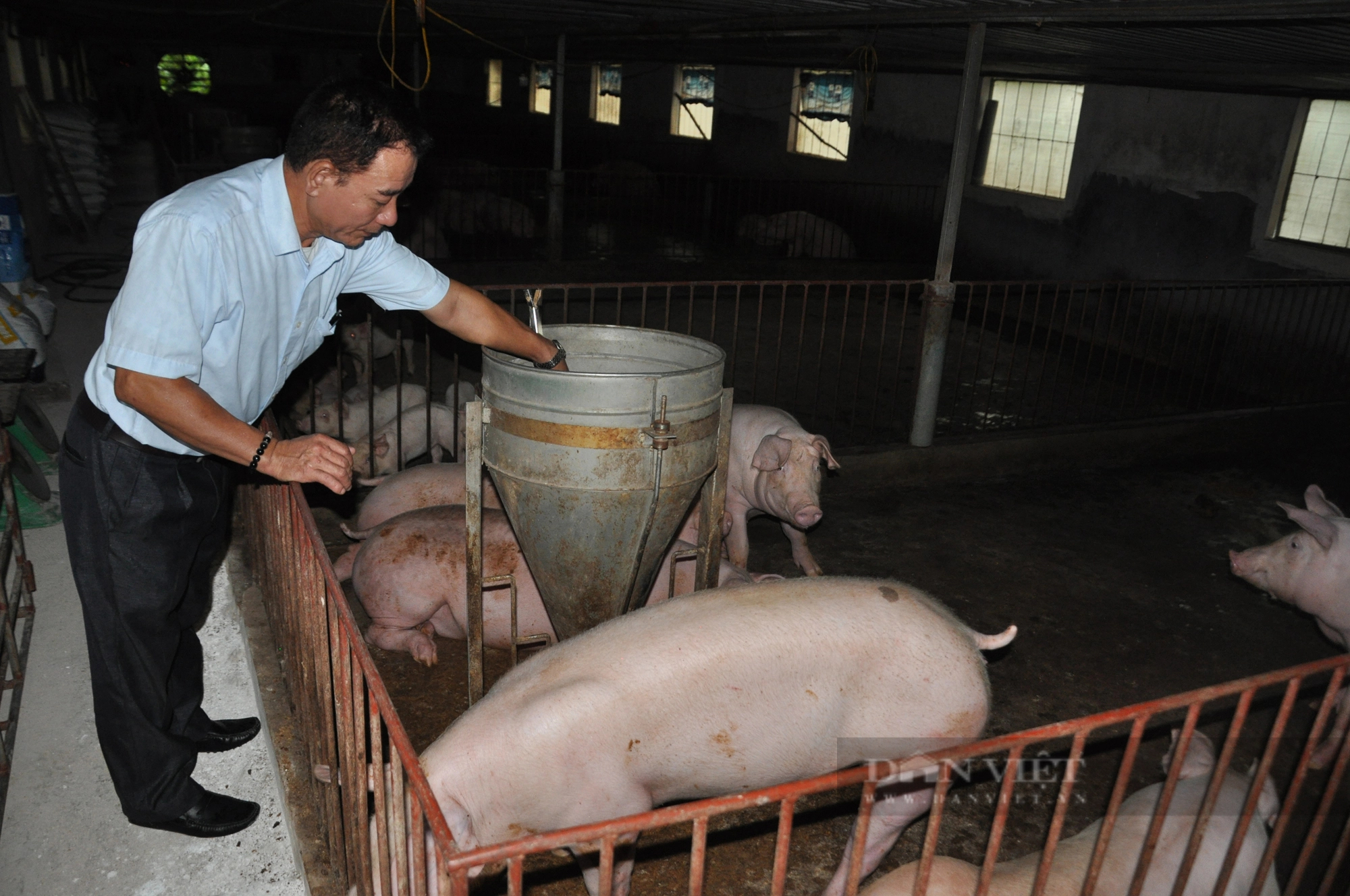 Nhập khẩu thịt lợn và phụ phẩm tăng hơn 85%, các chuyên gia đề nghị cần dựng "hàng rào" bảo vệ chăn nuôi trong nước- Ảnh 3.