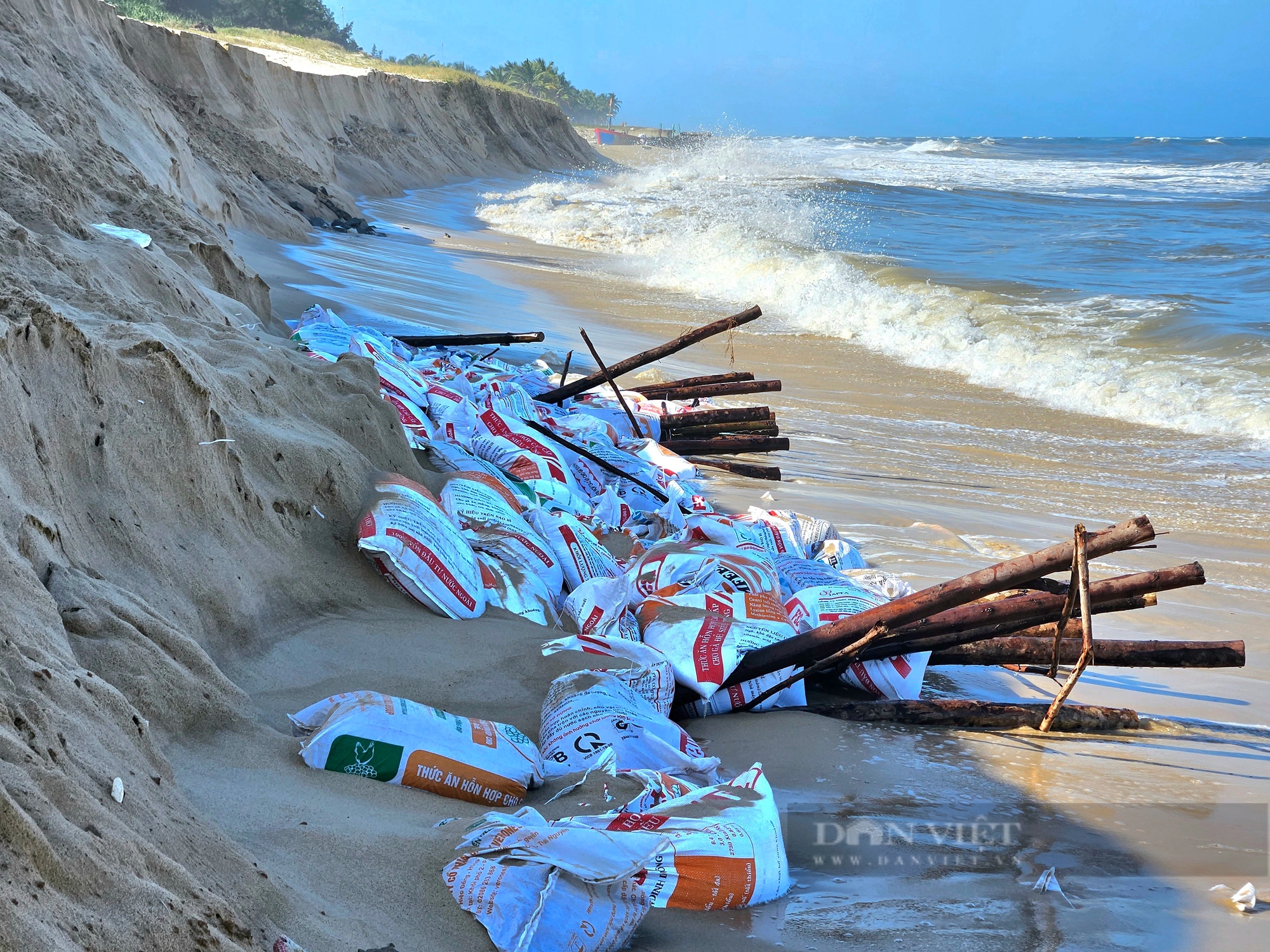 Sau phản ánh báo Dân Việt, Bí thư Tỉnh ủy Quảng Bình trực tiếp kiểm tra xói, lở ở bãi biển Bảo Ninh- Ảnh 3.