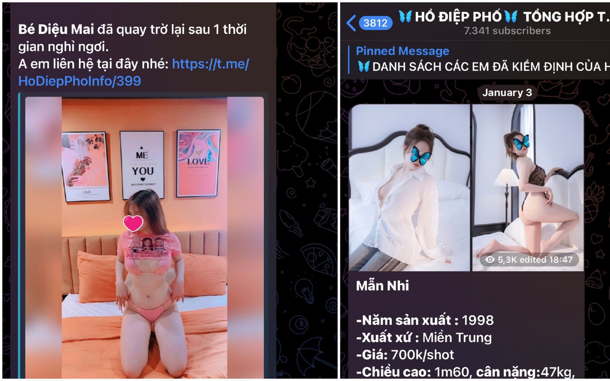 Phá đường dây môi giới mại dâm online với 15.000 thành viên tại Đà Nẵng