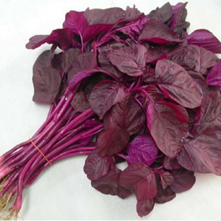 Loại “rau trường thọ”, thế giới yêu thích ở Việt Nam trồng bạt ngàn, ra đến chợ giá rẻ bèo - Ảnh 2.