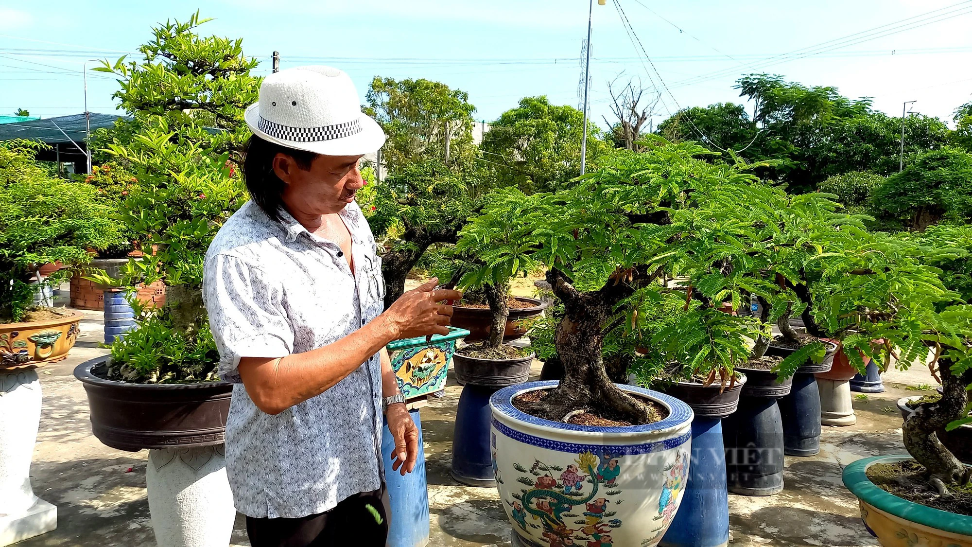 Làm “lồng son” cho cây cảnh, nông dân miệt vườn tất bật thu tiền triệu ngày Tết - Ảnh 1.