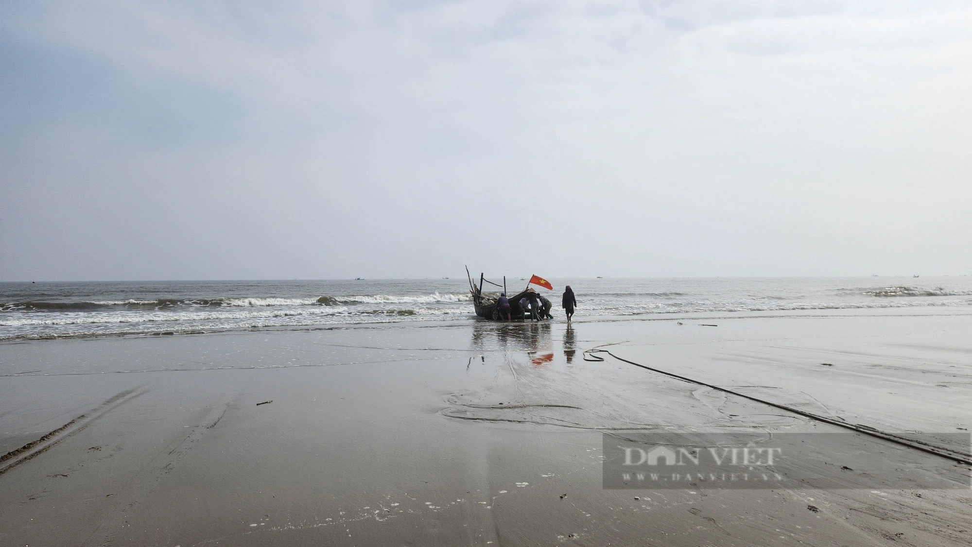 Loài cá &quot;mềm nhũn như cháo&quot; bán gần nửa triệu đồng/kg, ngư dân vẫn không có nhiều để bán - Ảnh 1.