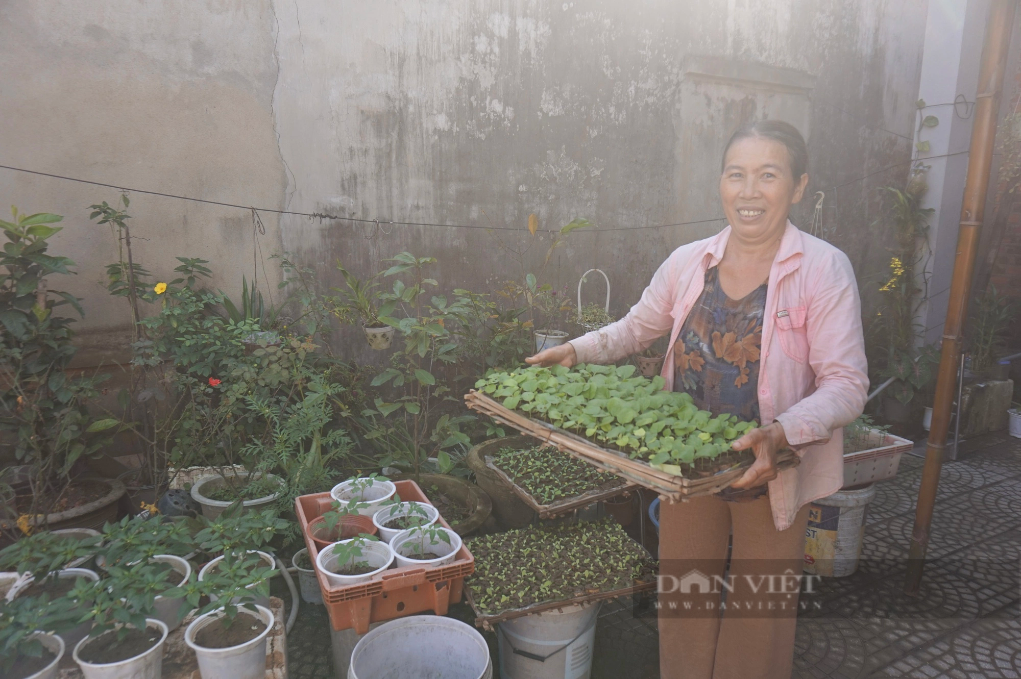 Đây là nghề tay trái chỉ làm 3 tháng mà giúp nông dân Quảng Nam có thu nhập tốt- Ảnh 1.