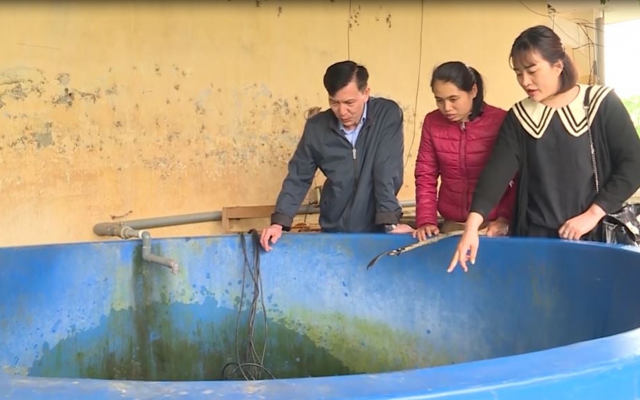 Tận thấy loài cá quý hiếm có tên trong Sách Đỏ Việt Nam đang nhân nuôi thành công ở Hà Giang
