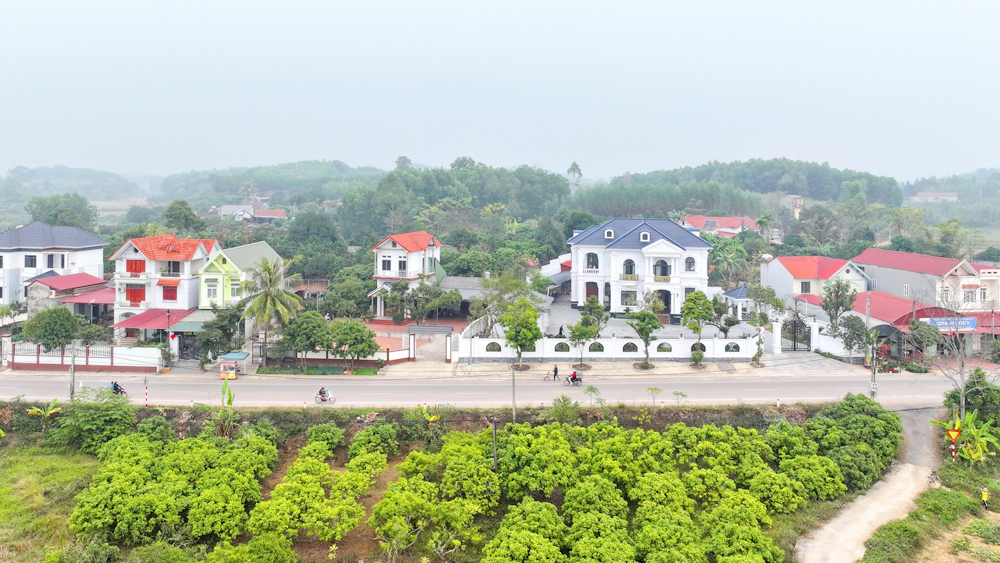 Một thôn của tỉnh Bắc Giang, người dân trồng cây nuôi gà mà xây nhà giàu, thu nhập tới 48 triệu đồng/người/năm- Ảnh 1.