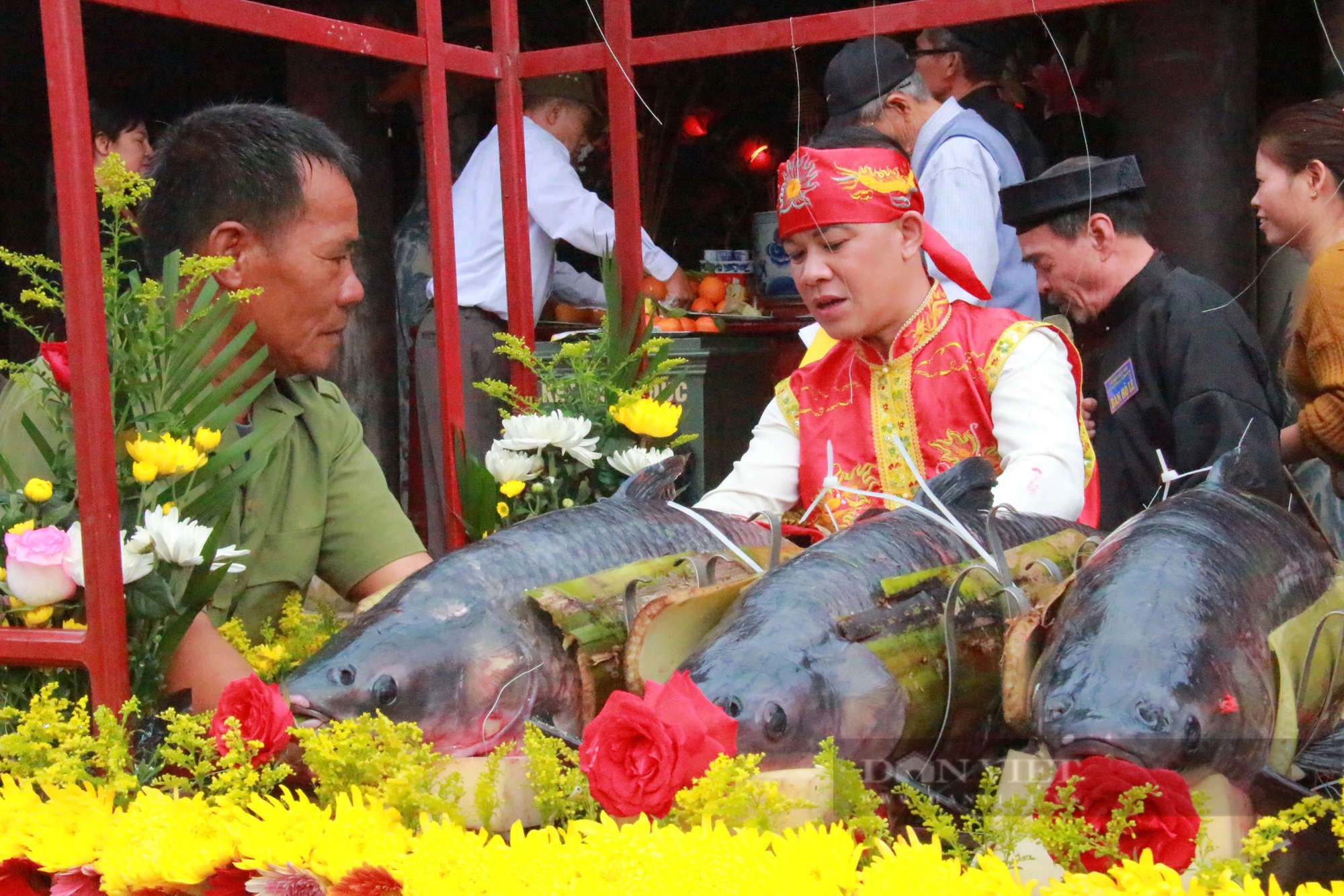 Lễ hội đền Gin ở Nam Định, người dân dâng cúng đức thánh cá trắm đen to, có con nặng tới 15kg- Ảnh 5.