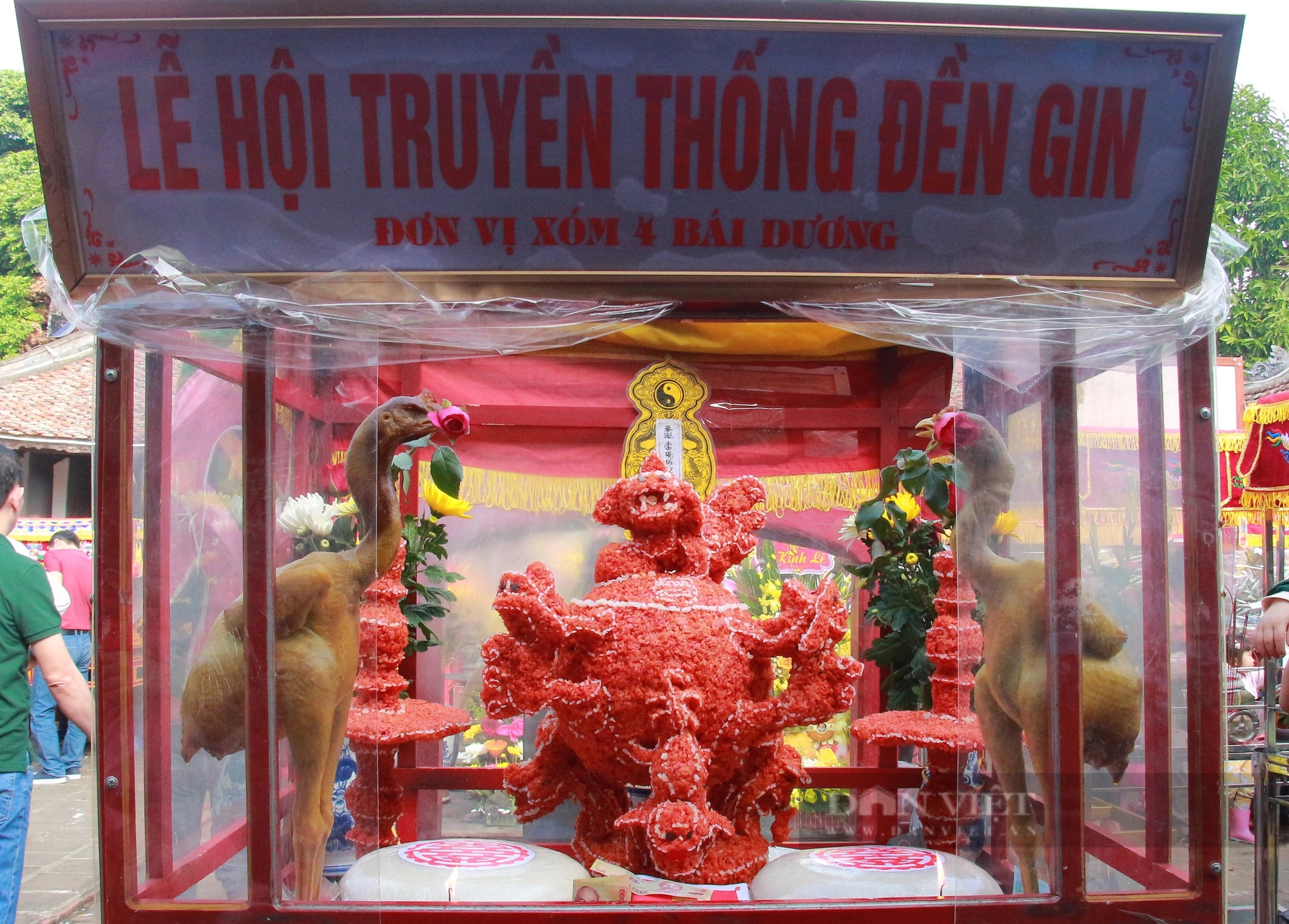 Lễ hội đền Gin ở Nam Định, người dân dâng cúng đức thánh cá trắm đen to, có con nặng tới 15kg- Ảnh 7.