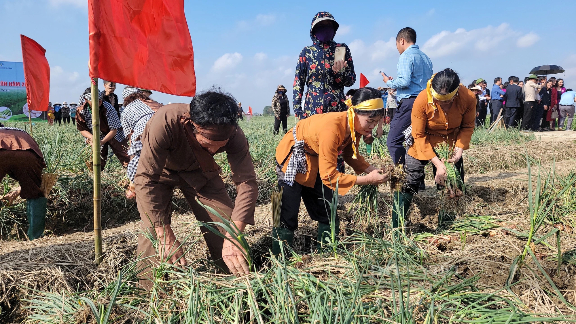 Bộ trưởng Lê Minh Hoan, Bí thư Tỉnh ủy Hải Dương Trần Đức Thắng xuống đồng cổ vũ nông dân thi nhổ hành, tỏi- Ảnh 3.