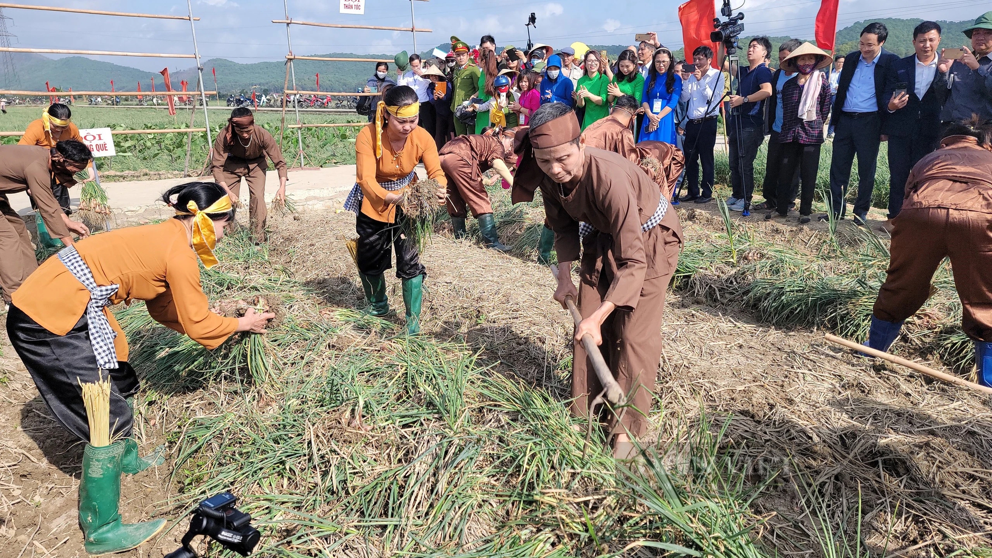 Bộ trưởng Lê Minh Hoan, Bí thư Tỉnh ủy Hải Dương Trần Đức Thắng xuống đồng cổ vũ nông dân thi nhổ hành, tỏi- Ảnh 7.