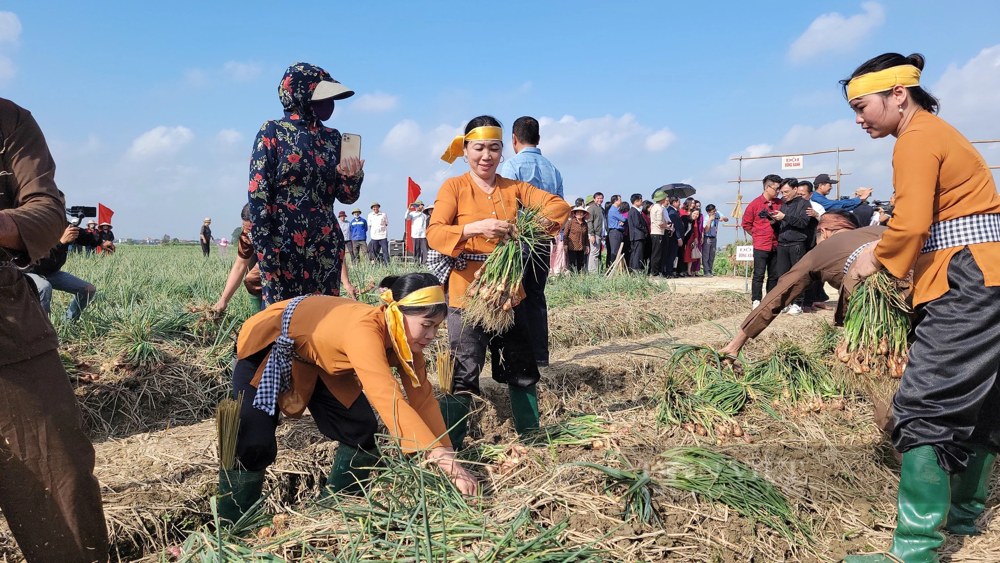 Bộ trưởng Lê Minh Hoan, Bí thư Tỉnh ủy Hải Dương Trần Đức Thắng xuống đồng cổ vũ nông dân thi nhổ hành, tỏi- Ảnh 10.