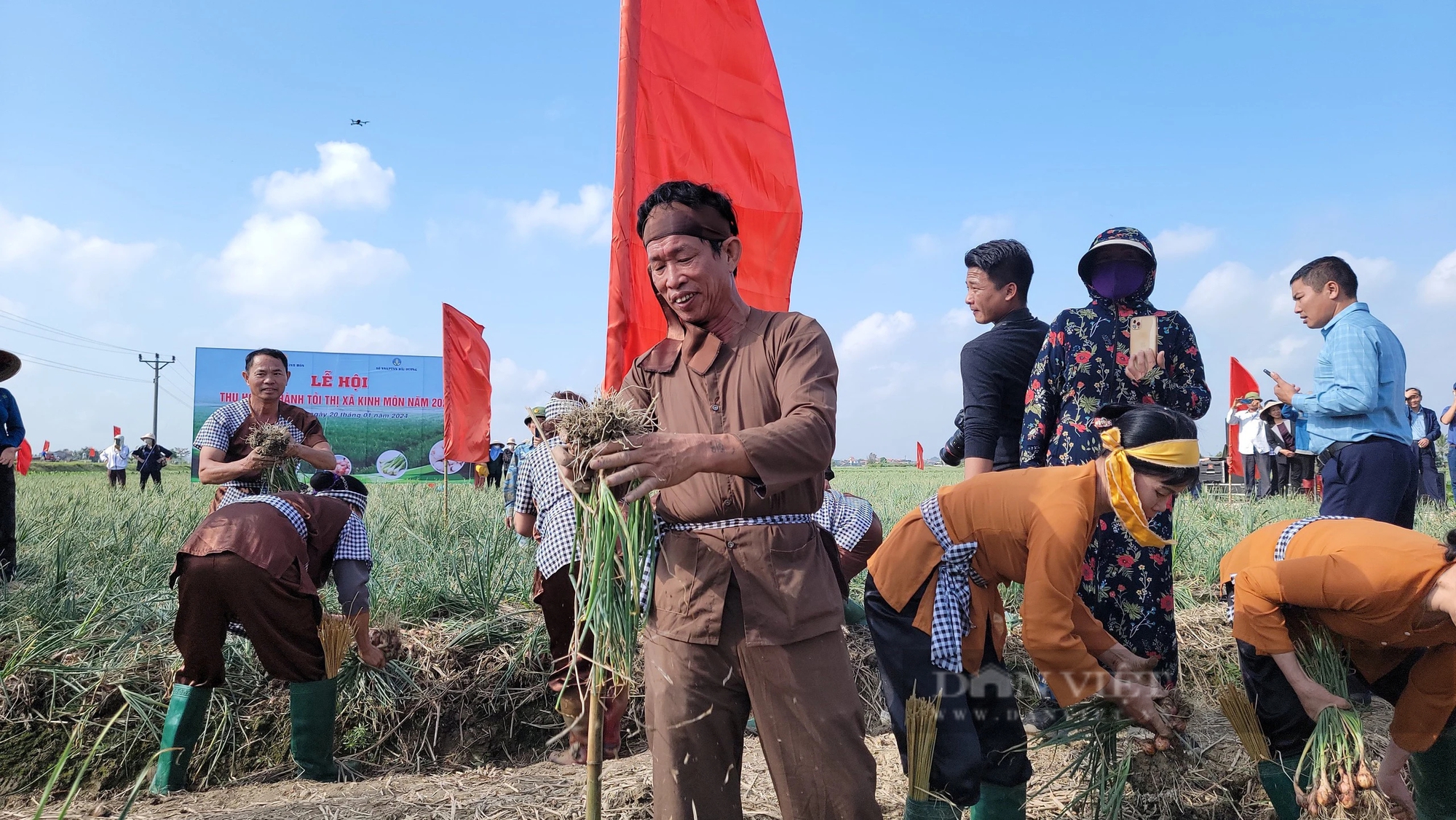Bộ trưởng Lê Minh Hoan, Bí thư Tỉnh ủy Hải Dương Trần Đức Thắng xuống đồng cổ vũ nông dân thi nhổ hành, tỏi- Ảnh 11.