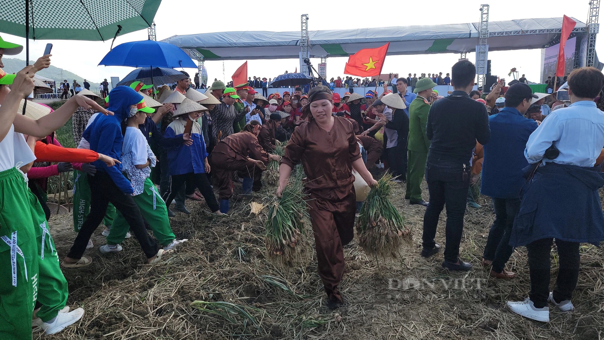 Bộ trưởng Lê Minh Hoan, Bí thư Tỉnh ủy Hải Dương Trần Đức Thắng xuống đồng cổ vũ nông dân thi nhổ hành, tỏi- Ảnh 12.