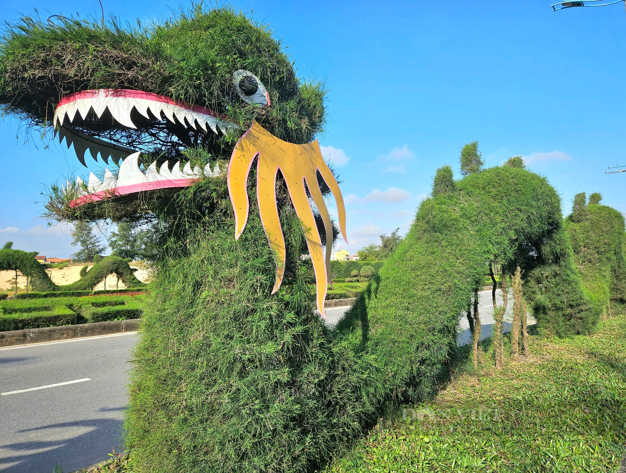 Ngắm dàn cây cảnh tạo hình linh vật "rồng" gây ý kiến trái chiều tại Quảng Bình- Ảnh 1.