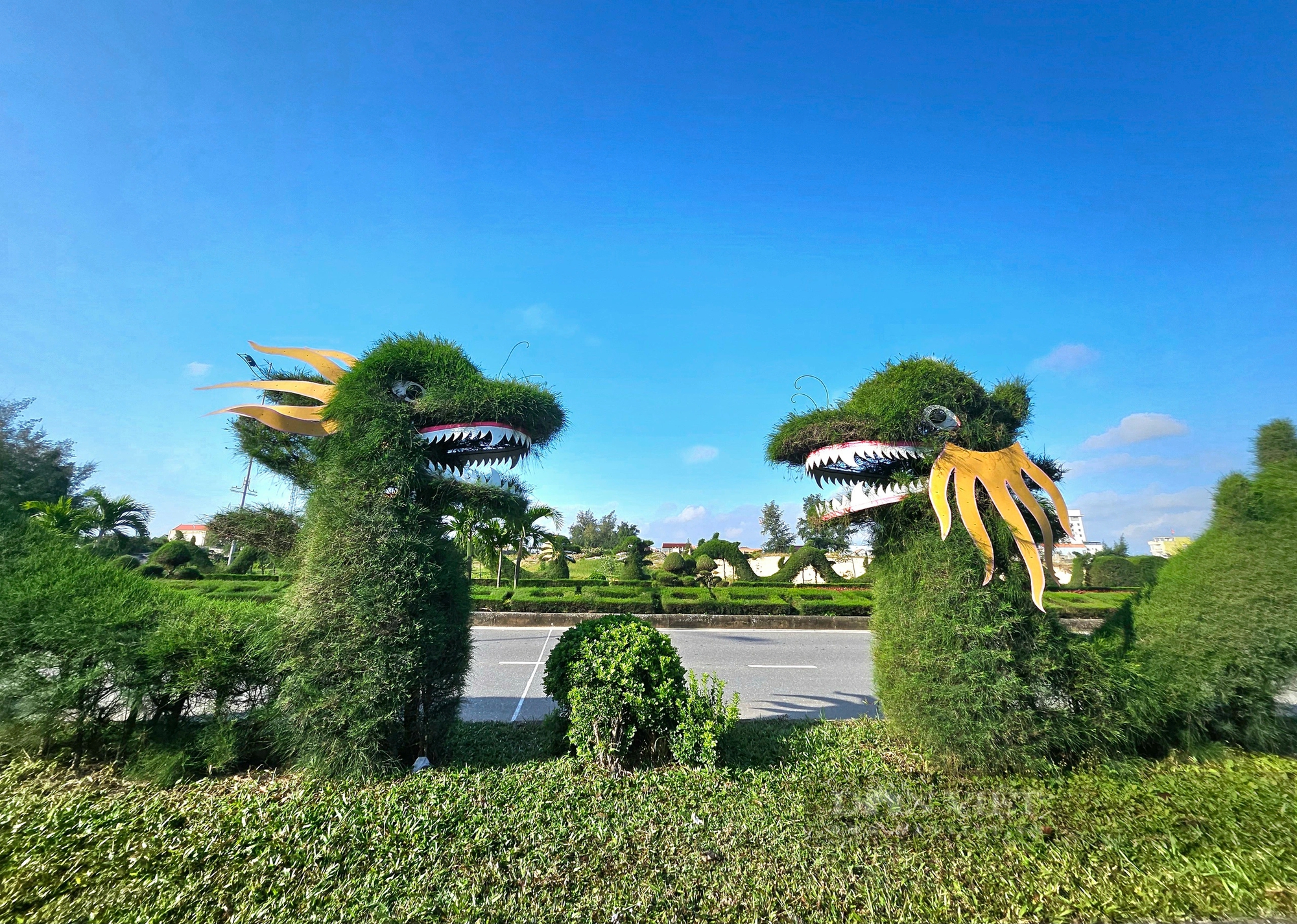 Ngắm dàn cây cảnh tạo hình linh vật "rồng" gây ý kiến trái chiều tại Quảng Bình- Ảnh 2.