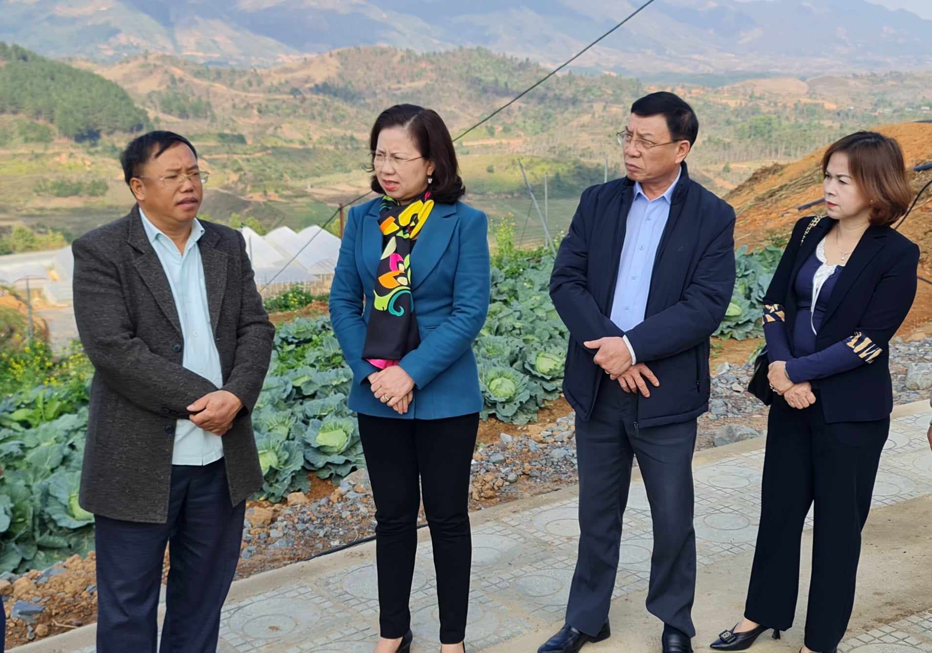 Phó Chủ tịch TƯ Hội Nông dân Việt Nam Bùi Thị Thơm thăm Hợp tác xã trồng rau lớn nhất Điện Biên- Ảnh 1.