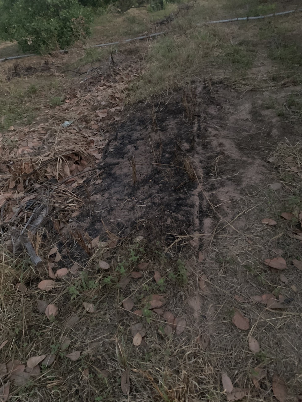 Vụ mặt đất tự bốc cháy ở Đắk Lắk: Đã phát hiện tới 20 điểm cháy- Ảnh 3.