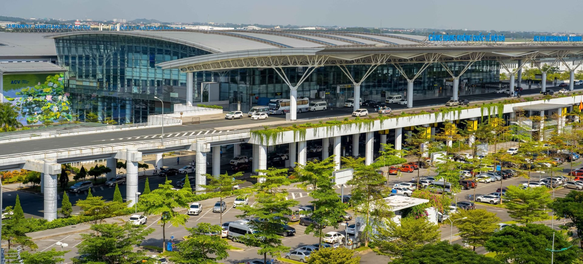 Bất ngờ trâu xuất hiện tại nhà ga sân bay Nội Bài   - Ảnh 2.