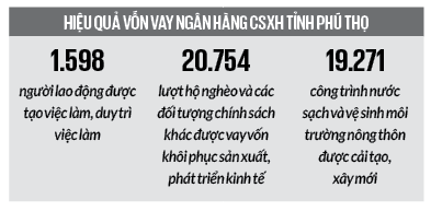Có vốn Ngân hàng CSXH đầu tư nuôi bò, nông dân Phú Thọ thoát ngay diện nghèo- Ảnh 2.