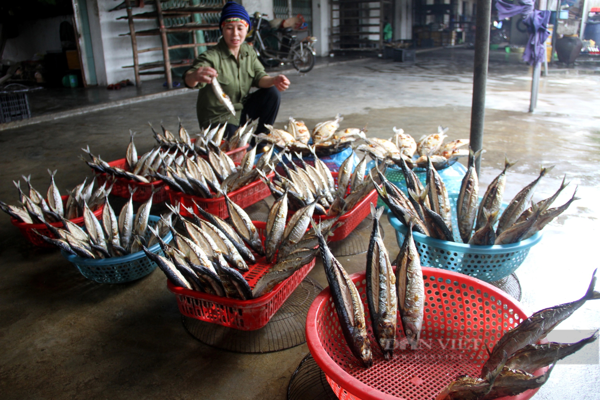 Tết đến, vào một làng nướng ở Hà Tĩnh, than đỏ hừng hực, mùi cá nướng bay khắp nơi- Ảnh 13.