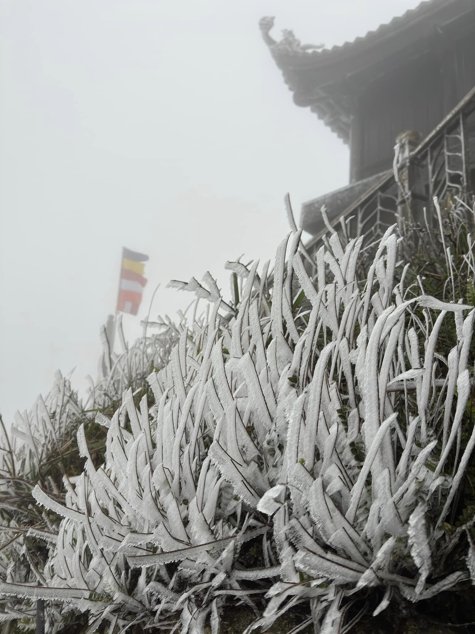 Nhiệt độ xuống 0 độ C, chùa Đồng trên non thiêng Yên Tử xuất hiện băng giá- Ảnh 3.