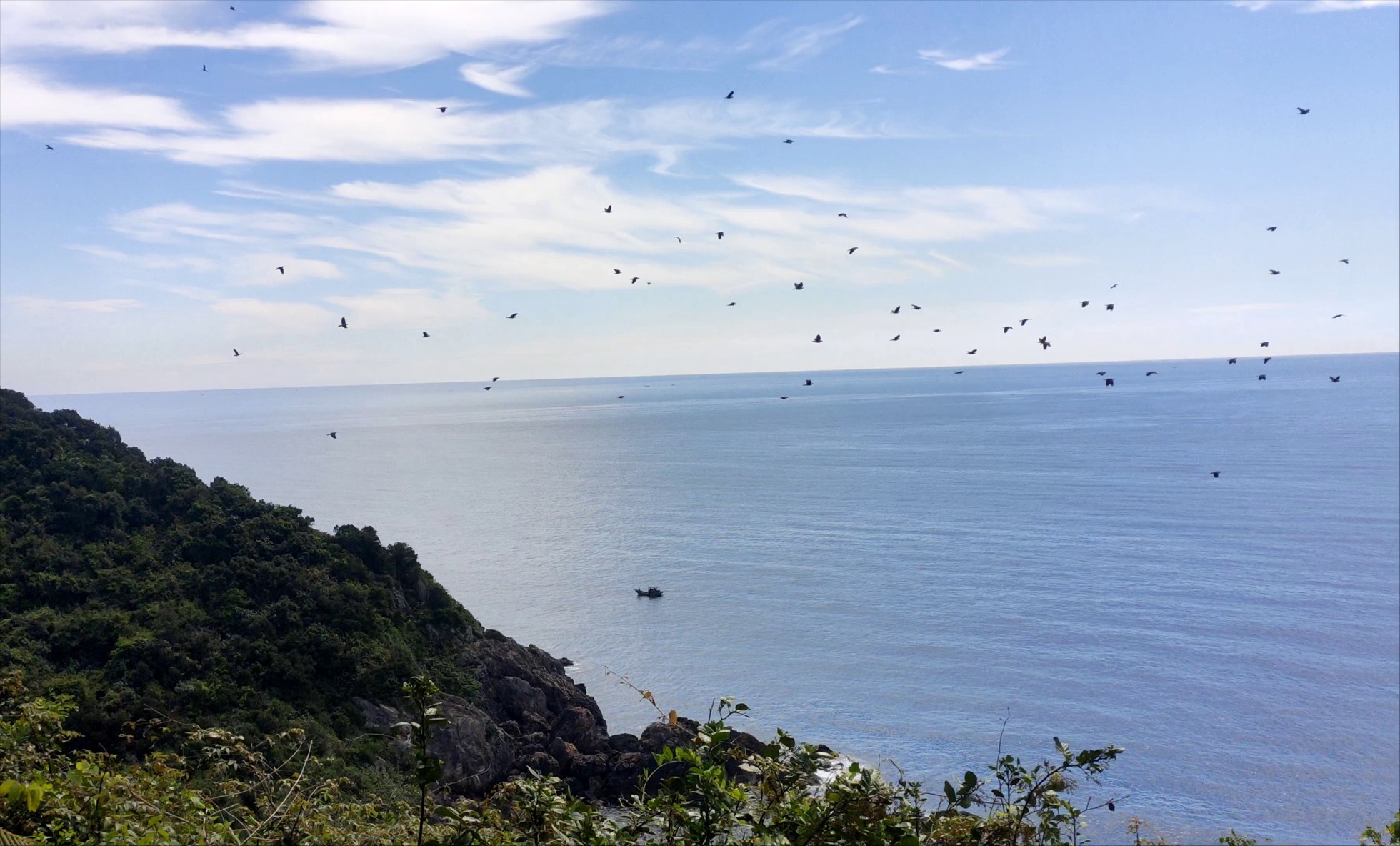 Một quần đảo rộng 450ha cách bờ biển Thanh Hóa 10km đẹp như phim, chim biển bay đầy trời, cảnh hoang sơ- Ảnh 7.