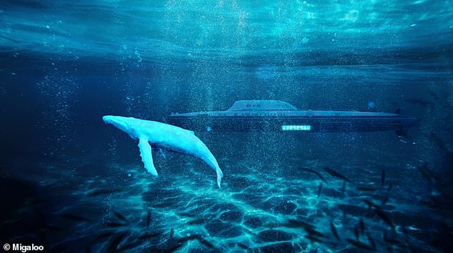 Cận cảnh siêu tàu ngầm 2 tỷ USD dành cho giới thượng lưu, có cả bể bơi và rạp chiếu phim- Ảnh 2.