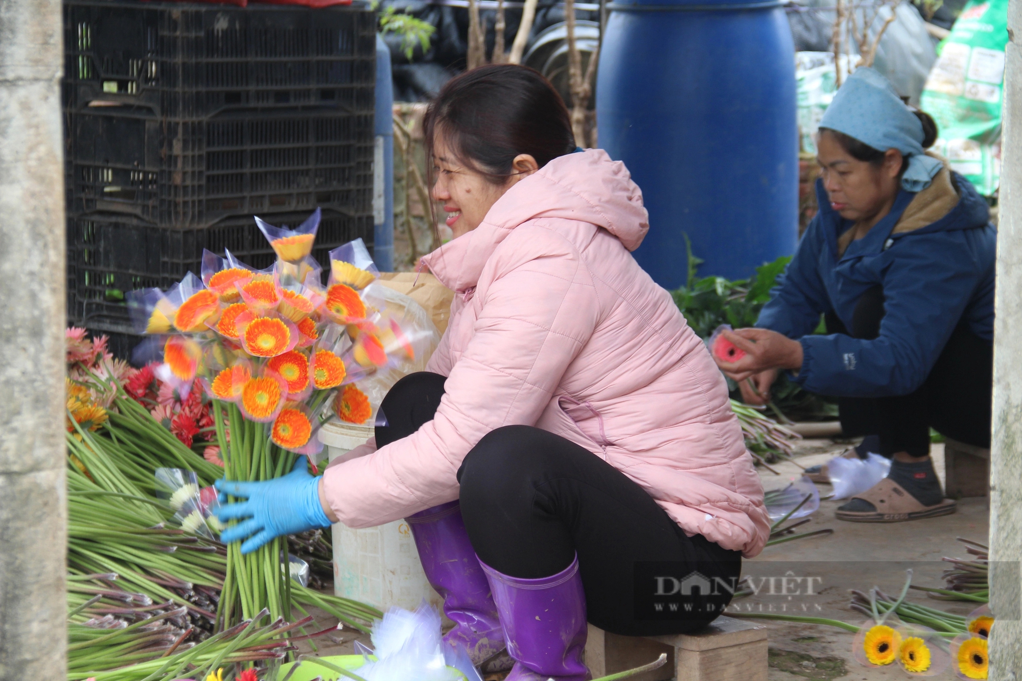Người dân ở ngoại thành Hà Nội chia sẻ bí quyết chăm sóc để hoa nở rực đúng dịp Tết- Ảnh 2.